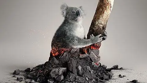 WWF - AUSTRALIA