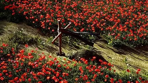 L'abbraccio della guerra